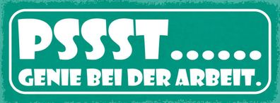 Schild Pssst... Genie Bei Der Arbeit Genius Genial Job 27x10 Blech od. Holz