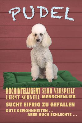 Schild Spruch Pudel Steckbrief Hochintelligent sehr verspielt Hund JW