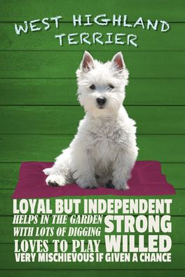 Schild Spruch West Highland Terrier Steckbrief Loves to play Verspielt Hund JW
