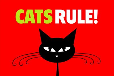 Schild Spruch Cats rule Katzen herrschen Comic JW