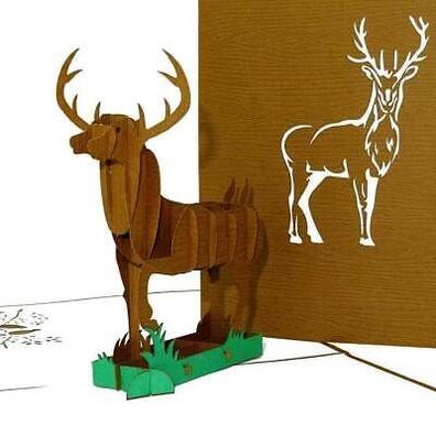 3D Pop Up Karte "Waidmannsheil" Einladung Gléckwénsche, Format 15x15 50038