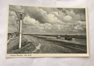 AK, Husum, Nordsee, Am Deich, Késte (110264 BW)