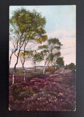 Léneburger Heide 650318 G