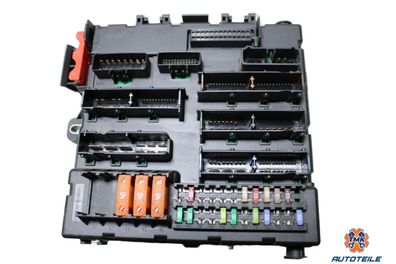 Opel Signum Sicherungskasten Relaiskasten Relais Sicherung 13205776 FR XVXMZ