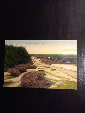 Bléhende Heide bei Lingen 400053 gr