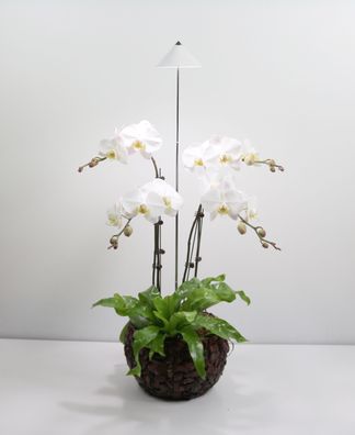 SUNLiTE 7W LED Pflanzenlampe Weiß innen, mit ausziehbarem Teleskopstab