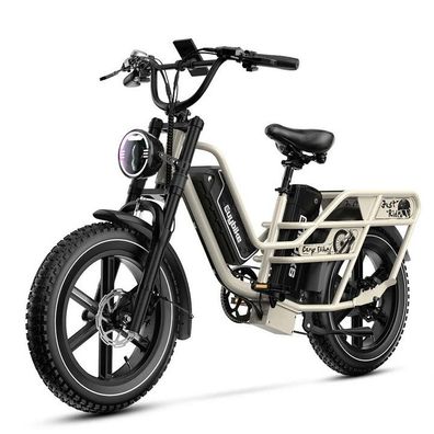 E-bike mit Lastenträger Step-Through Elektrofahrräder für Damen mit 48V 30Ah Akku
