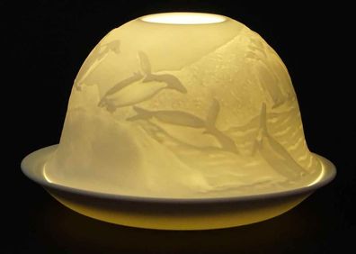 Kerzenfarm Dome Light Pinguine in der Antarktis