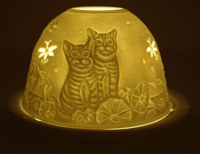 Dom Light Kätzchen Katzen