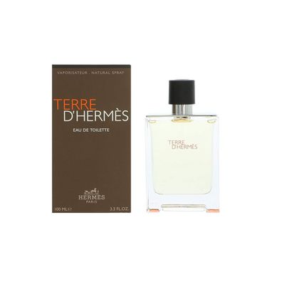 Hermes Terre D'HermÜs Edt 100 Ml