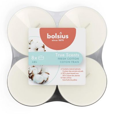 Duft-Maxilichter, Fresh Cotton, True Scents, Bolsius, Ø60 mm, Brenndauer ca. 8h, 8 St