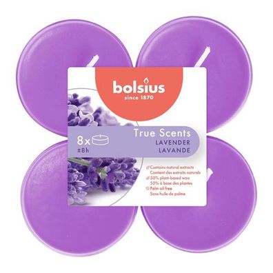 Duft-Maxilichter, Französischer Lavendel, True Scents, Bolsius, Ø60 mm, Brenndauer ca