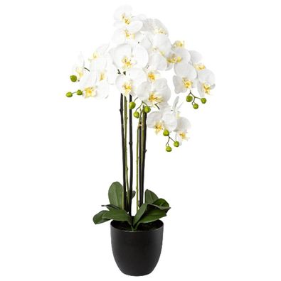 GASPER Schmetterlingsorchidee - Phalenopsis Weiß 4 Blütenrispen 83 cm - Kunstpflanzen