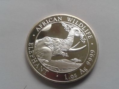 100 Schillings 2023 Somalia Elephant Elefant 1 Unze Silber 31,1g 999er Silber Afrika