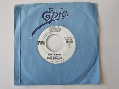Dead Or Alive - What I want 7'' Vinyl US PROMO/ Pete Burns