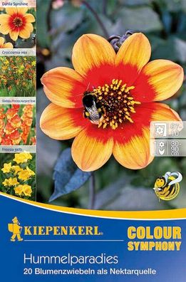 Hummelparadies, 40 Stück Frühjahrsblumenzwieben, Nektarspender für Nützlinge