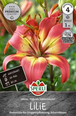 Sperli Premium Lilie Linda Cancun