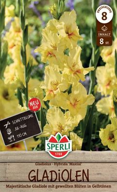 Gladiole Maxial, Majestätische Gladiole mit gewellten Blüten in Gelbtönen