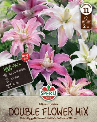 Gefülltes Lilienduo, Prächtig gefüllt und lieblich duftende Blüten