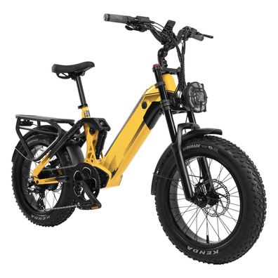 20 Zoll All-Terrain Step-thru E-Mountainbike mit 52V 20Ah Akku E-bike