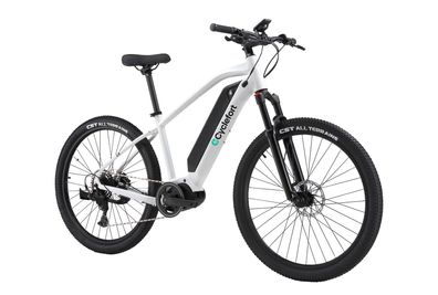 Step-Over E-Mountainbike für Herren Mittelmotor E-Bike mit 36V 17,5Ah Samsung Akku