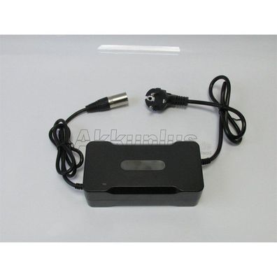 Ersatzladegerät für Giant 300 CANBUS - 700000020 - 36 Volt Li-Ion Akku - 42 Volt