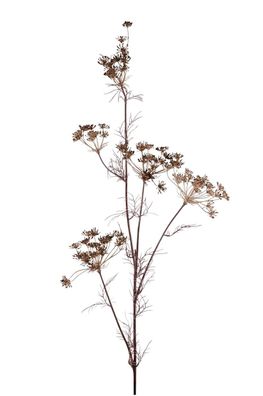 Fink ZWEIG, Kunstblume, Kunstfasern, braun, L. 25 cm, B. 25 cm, H. 120 cm Höhe: