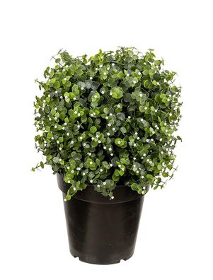 Fink Münzblatt, Kunstblume, Kunststoff, grün, L. 32 cm, B. 32 cm, H. 50 cm Höhe: