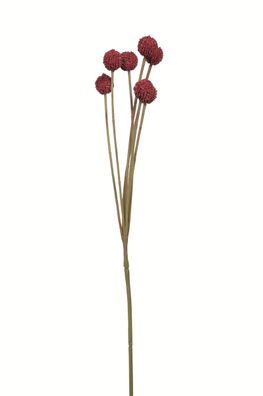 Fink Craspedia, Kunstblume, Kunstfasern, dunkelrot, L. 10 cm, B. 10 cm, H. 60 cm