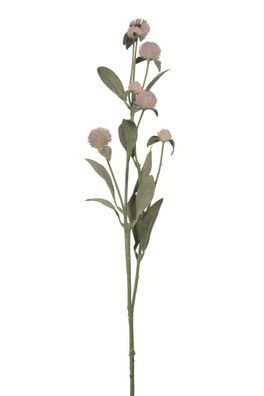 Fink Echinopsis, Kunstblume, Kunstfasern, hellgrau, L. 14 cm, B. 14 cm, H. 70 cm