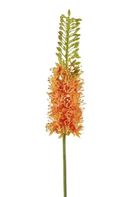 Fink Steppenkerze, Kunstblume, Kunstfasern, orange, H. 87 cm Höhe: 87.00 cm 181000