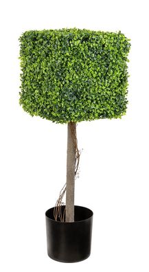 Fink BUCHS, Quader, Kunststoff, grün, L. 31 cm, B. 31 cm, H. 90 cm Höhe: 90.00 cm