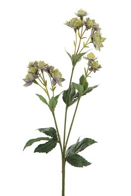 Fink Astrantia, Kunstblume, Kunstfasern, lila, grün, H. 44 cm Höhe: 44.00 cm 181513