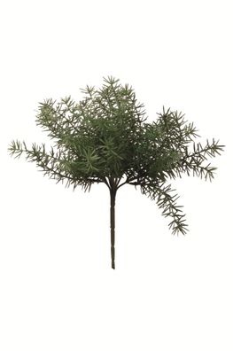 Fink Asparagus, Kunstblume, Kunstfasern, grün, L. 15 cm, B. 15 cm, H. 26 cm, D