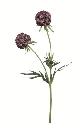 Fink Scabiosa, Kunstblume, Kunstfasern, lila, L. 10 cm, B. 10 cm, H. 55 cm 181004