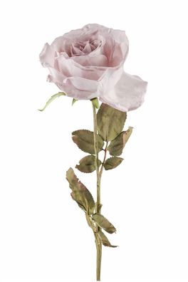 Fink ROSE, Kunstblume, Kunstfasern, mauve, H. 66 cm Höhe: 66.00 cm 180289