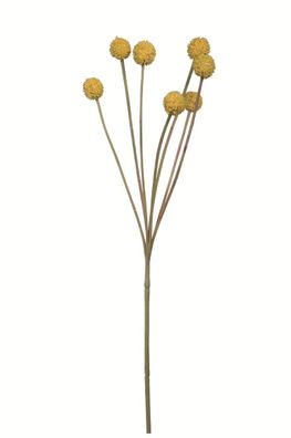 Fink Craspedia, Kunstblume, Kunstfasern, gelb, L. 10 cm, B. 10 cm, H. 60 cm 181007