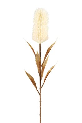 Fink Schilfkolben, Kunstblume, Kunstfasern, weiß, H. 77 cm Höhe: 77.00 cm 181063