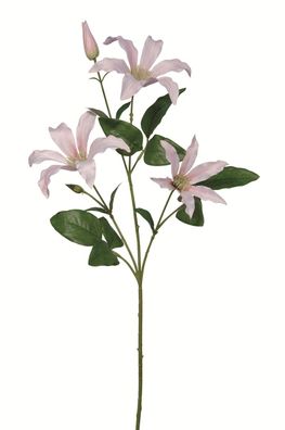 Fink Clematis, Kunstblume, Kunstfasern, weiß, rose, L. 1 cm, B. 10 cm, H. 65 cm