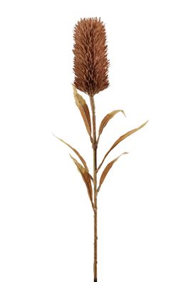 Fink Schilfkolben, Kunstblume, Kunstfasern, rot, H. 77 cm 181061