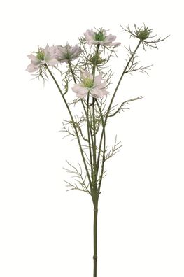 Fink Nigella, Kunstblume, Kunstfasern, creme, L. 10 cm, B. 10 cm, H. 66 cm Höhe: