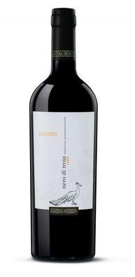 Cantine Diomede "Canace" Nero di Troia Puglia IGP 2022