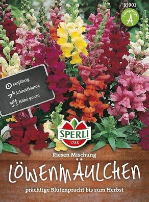 Löwenmaul Sperling`s Riesen