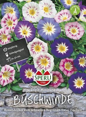 Sperli Winden Triple Mischung, blau, rosa, weiße Blüten