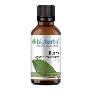 Bioherba Buchu Agathosma betulina Tropfen Tinktur
