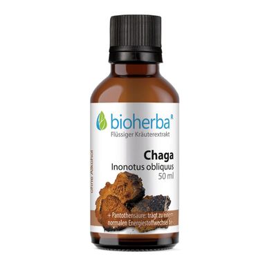 Bioherba Chaga Inonotus obliquus Tropfen Tinktur