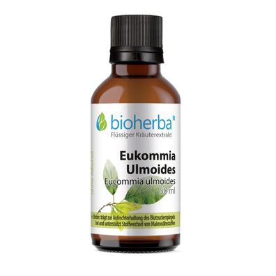Bioherba Eukommia Ulmoides Tropfen Tinktur
