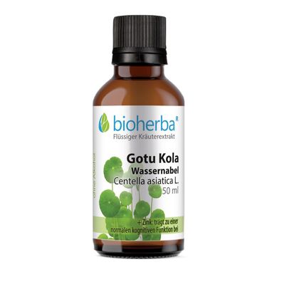 Bioherba Gotu Kola Wassernabel Tropfen Tinktur