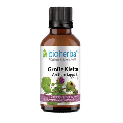 Bioherba Grosse Klette Arctium lappa L. Tropfen Tinktur