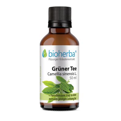 Bioherba Grüner Tee Camellia sinensis L. Tropfen Tinktur